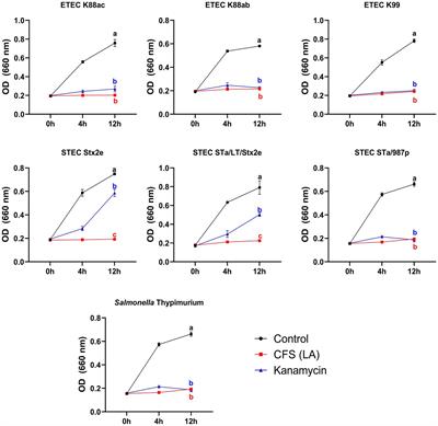 Lactiplantibacillus argentoratensis AGMB00912 protects weaning mice from ETEC infection and enhances gut health